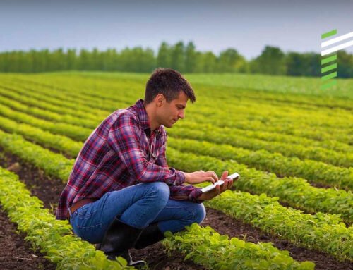 The impact of interest rates on investment returns