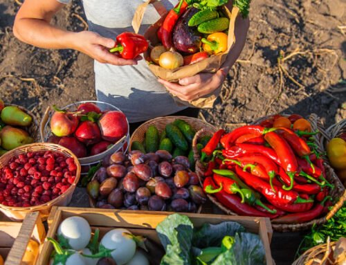 Role of Organic products in promoting healthy lifestyle