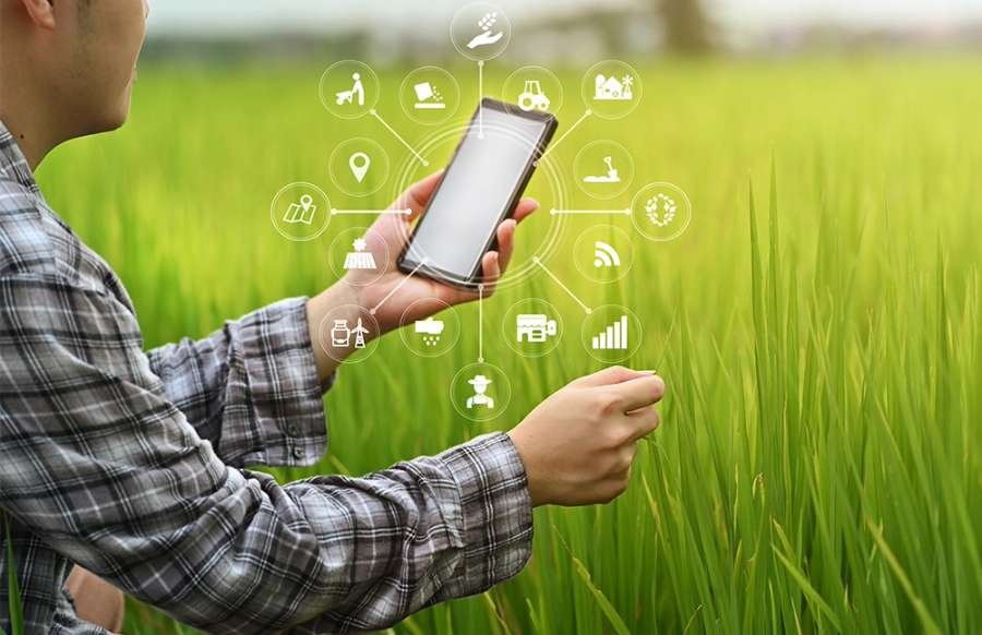 Digital_Transformation_in_Agriculture_Blog_Fetaured_Image